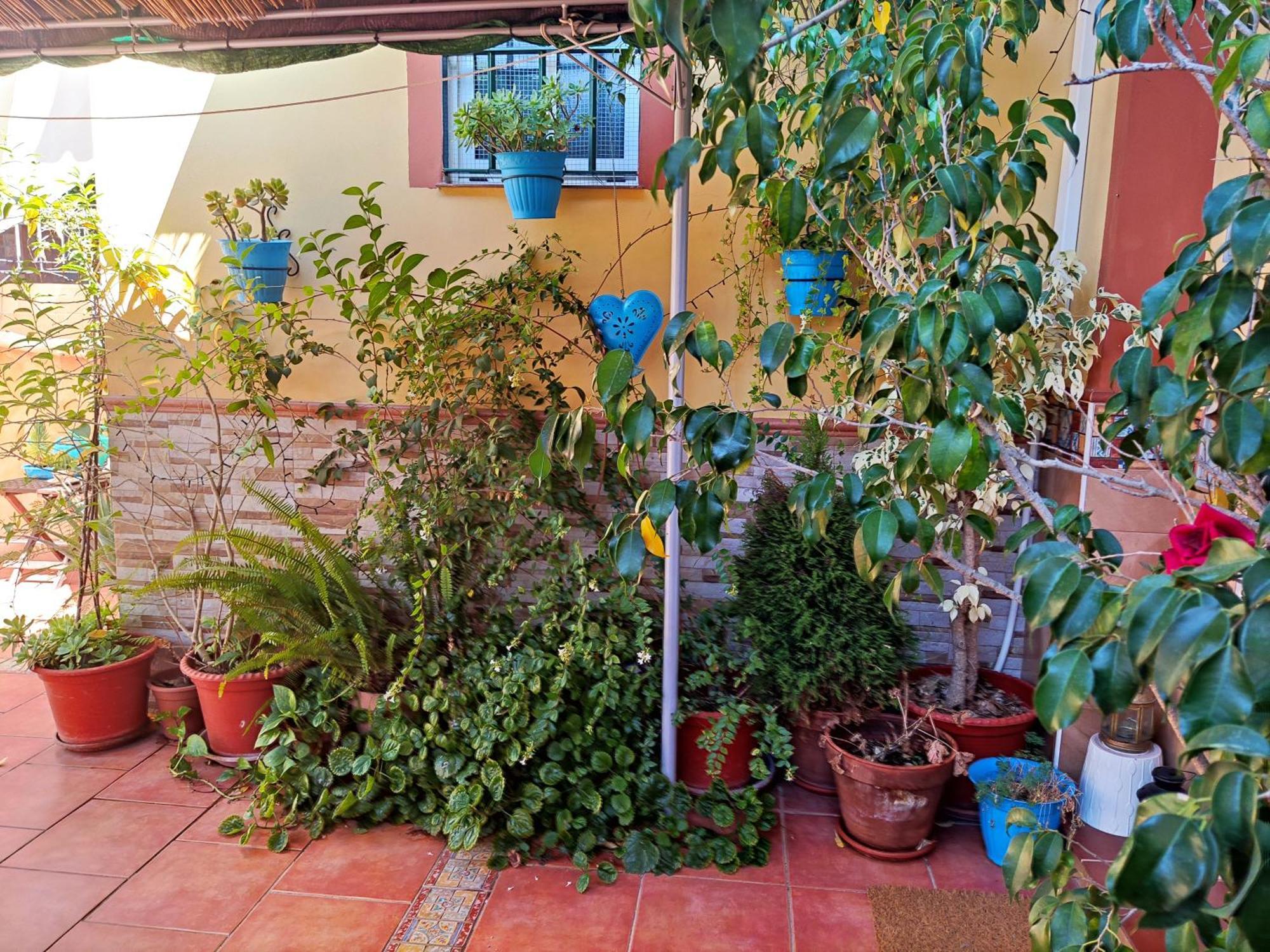 Apartamento Cool Garden Mairena del Aljarafe Esterno foto
