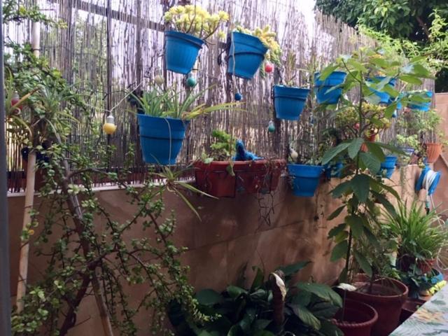 Apartamento Cool Garden Mairena del Aljarafe Esterno foto