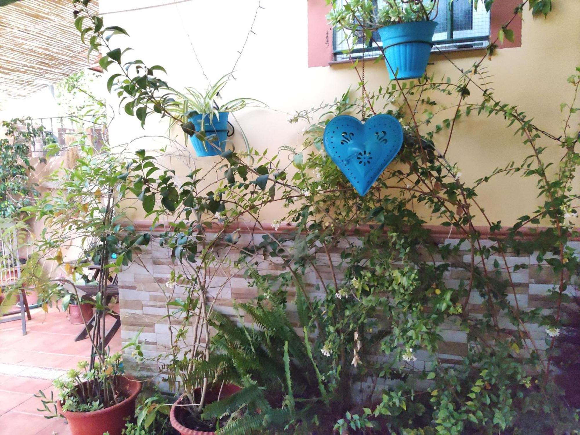 Apartamento Cool Garden Mairena del Aljarafe Esterno foto