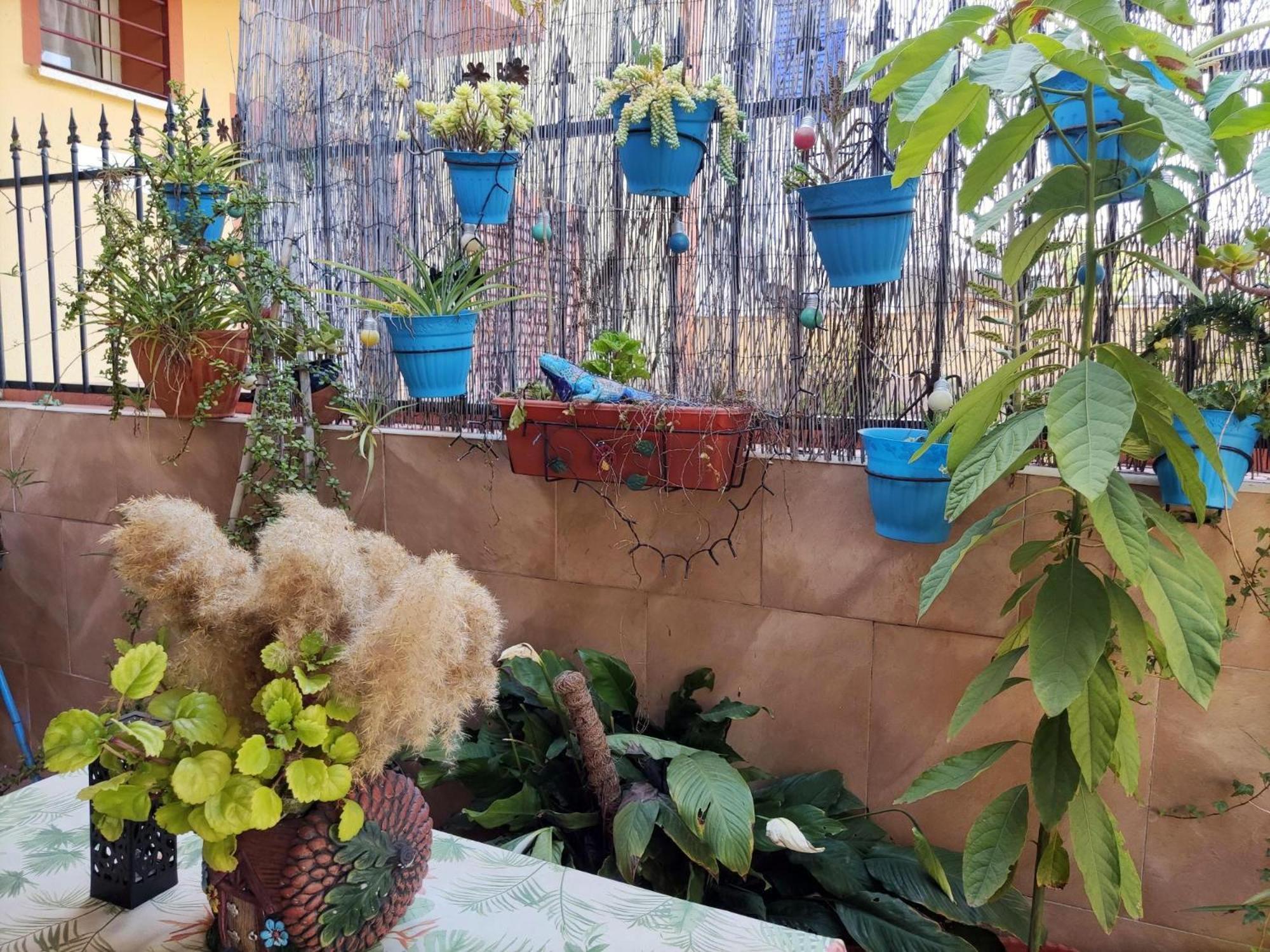 Apartamento Cool Garden Mairena del Aljarafe Esterno foto